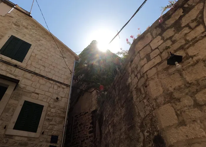 Guest house Top Center 3*